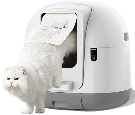 automatic self cleaning litter box.